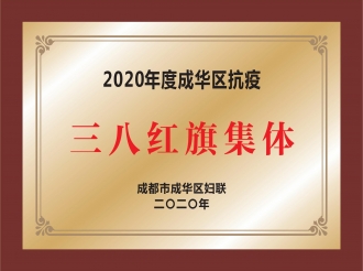 2020年度成华区抗疫三八红旗集体